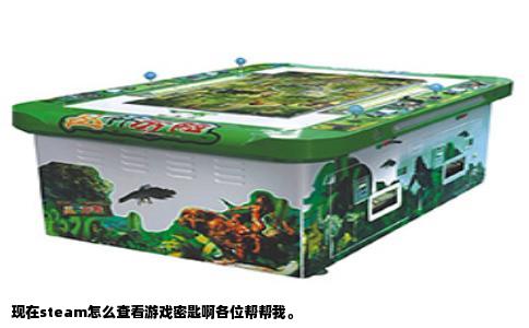 现在steam怎么查看游戏密匙啊各位帮帮我。