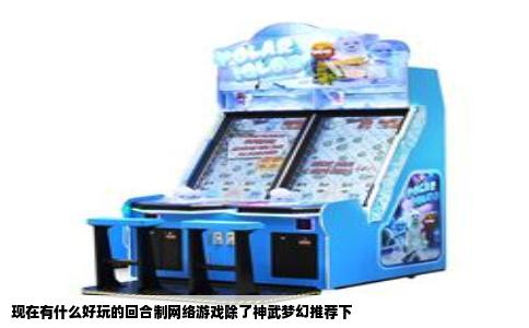 现在有什么好玩的回合制网络游戏除了神武梦幻推荐下