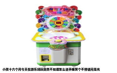 小孩十六个月今天在游乐场玩突然不知道怎么说手痛哭个不停请问是光