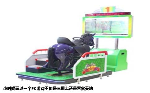 小时候玩过一个FC游戏不知是三国志还是吞食天地