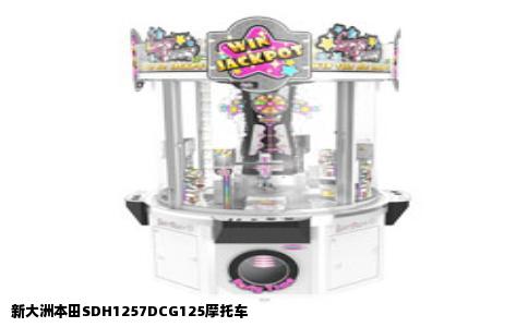 新大洲本田SDH1257DCG125摩托车