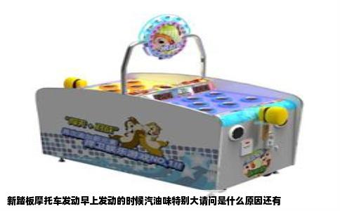 新踏板摩托车发动早上发动的时候汽油味特别大请问是什么原因还有