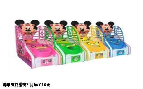 养甲虫能赚钱？我玩了30天