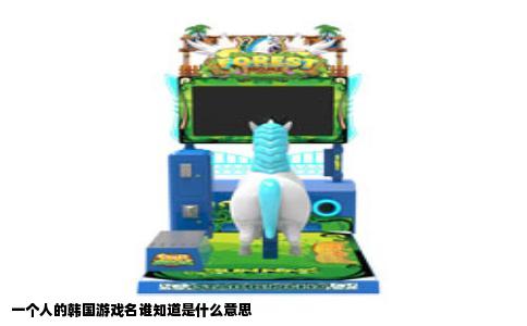 一个人的韩国游戏名谁知道是什么意思
