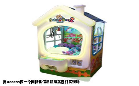 用access做一个网格化信息管理系统能实现吗