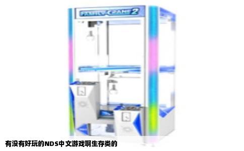 有没有好玩的NDS中文游戏啊生存类的