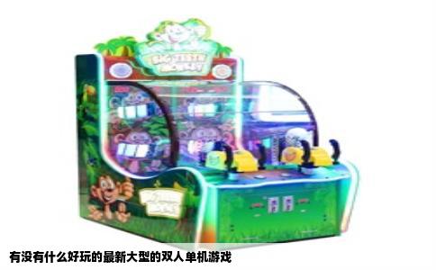 有没有什么好玩的最新大型的双人单机游戏