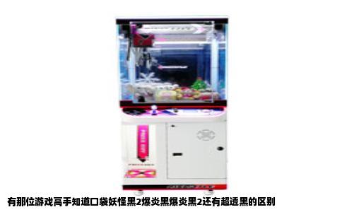 有那位游戏高手知道口袋妖怪黑2爆炎黑爆炎黑2还有超透黑的区别