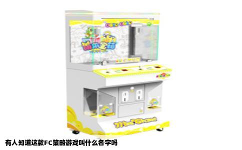 有人知道这款FC策略游戏叫什么名字吗