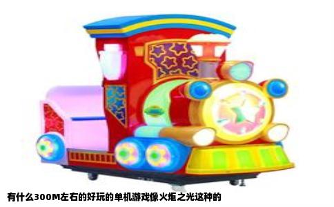 有什么300M左右的好玩的单机游戏像火炬之光这种的