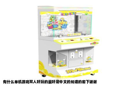 有什么单机游戏双人好玩的最好是中文的知道的密下谢谢