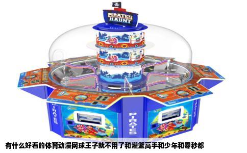 有什么好看的体育动漫网球王子就不用了和灌篮高手和少年和零秒都