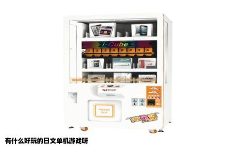 有什么好玩的日文单机游戏呀