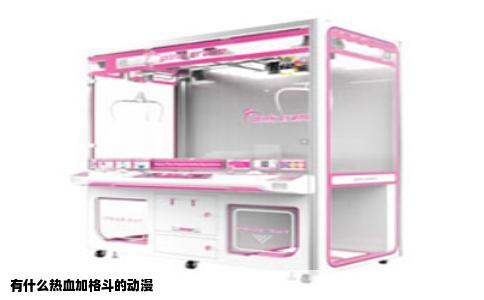 有什么热血加格斗的动漫