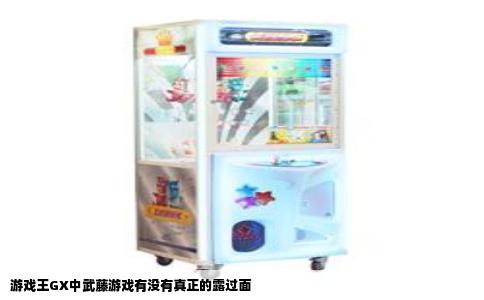 游戏王GX中武藤游戏有没有真正的露过面