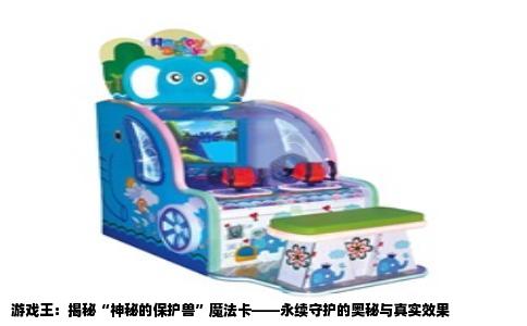 游戏王：揭秘“神秘的保护兽”魔法卡——永续守护的奥秘与真实效果