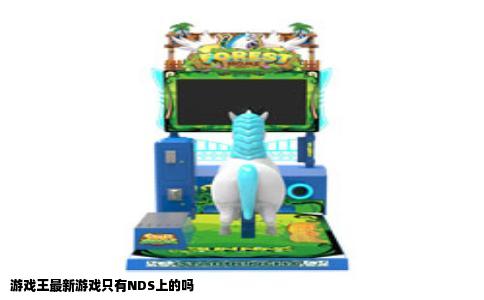 游戏王最新游戏只有NDS上的吗