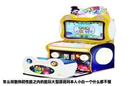 怎么样散热和性能之内的能玩大型游戏吗本人小白一个什么都不懂