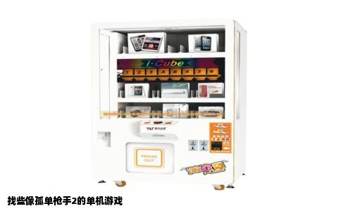 找些像孤单枪手2的单机游戏