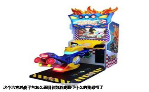 这个浩方对战平台怎么弄啊参数游戏路径什么的我都懵了
