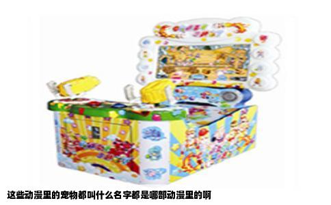 这些动漫里的宠物都叫什么名字都是哪部动漫里的啊
