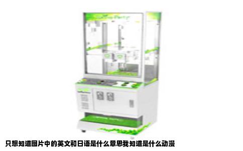 只想知道图片中的英文和日语是什么意思我知道是什么动漫